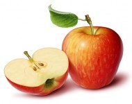 Jabuka sadnice